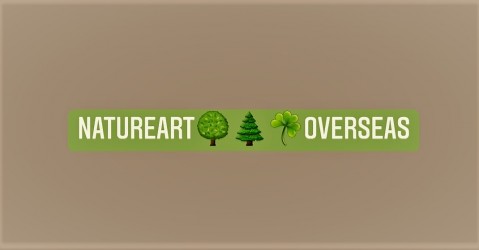 Natureart Overseas